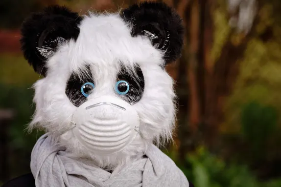 קזינו מרס בית תמיכה